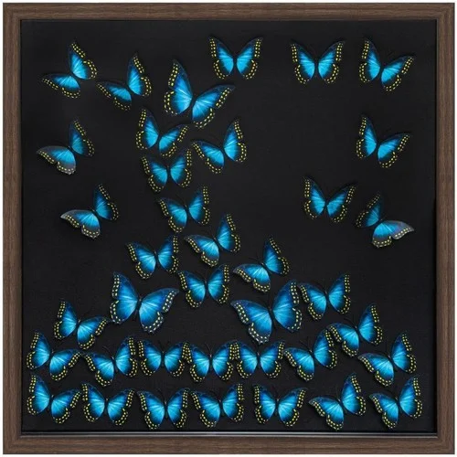 Atmosphera Cadre Décoration 3D Papillon 55&#215;55